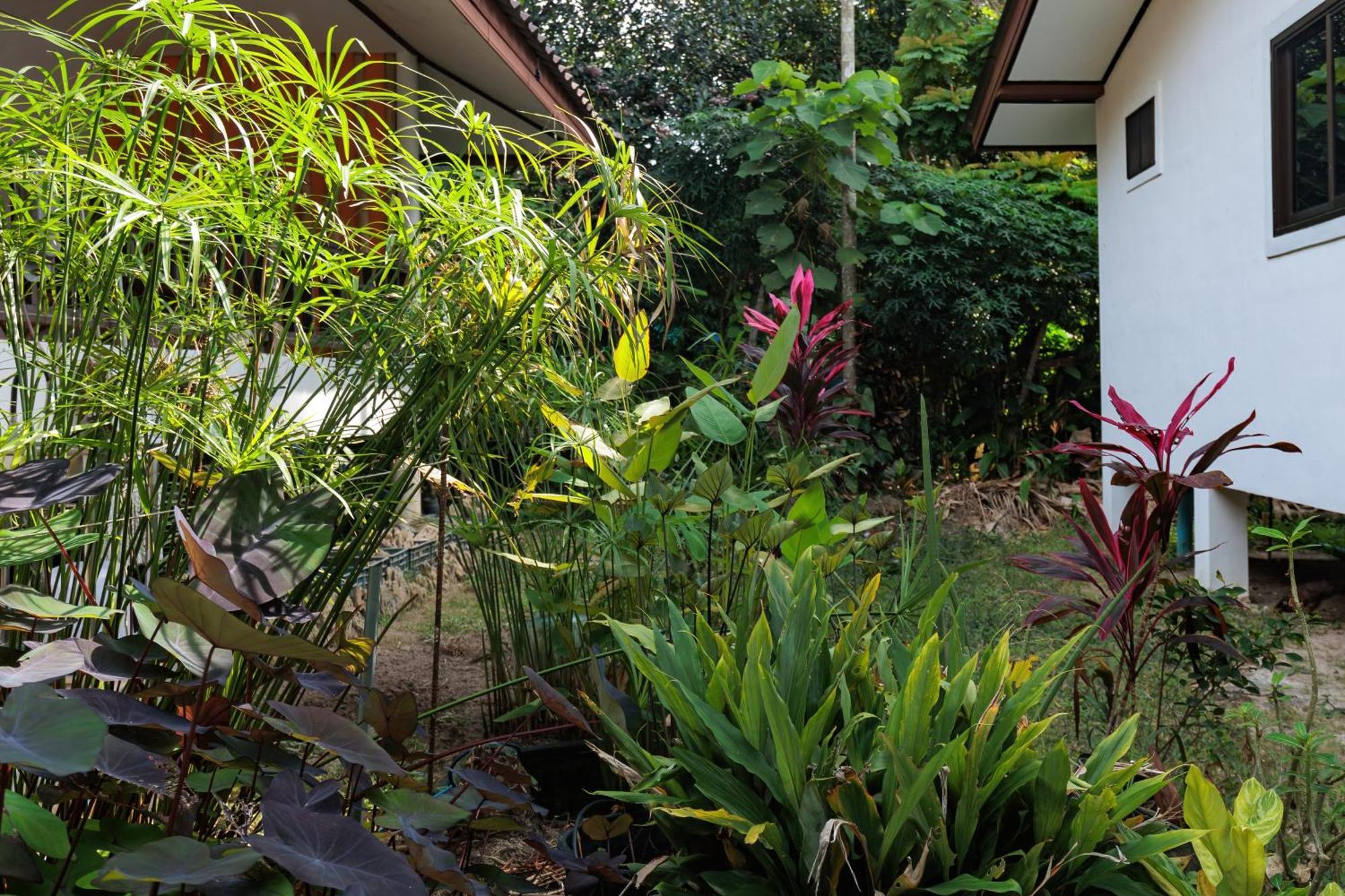 Charming House - 2mn Zen - Center - 4k Tv - Ac Srithanu